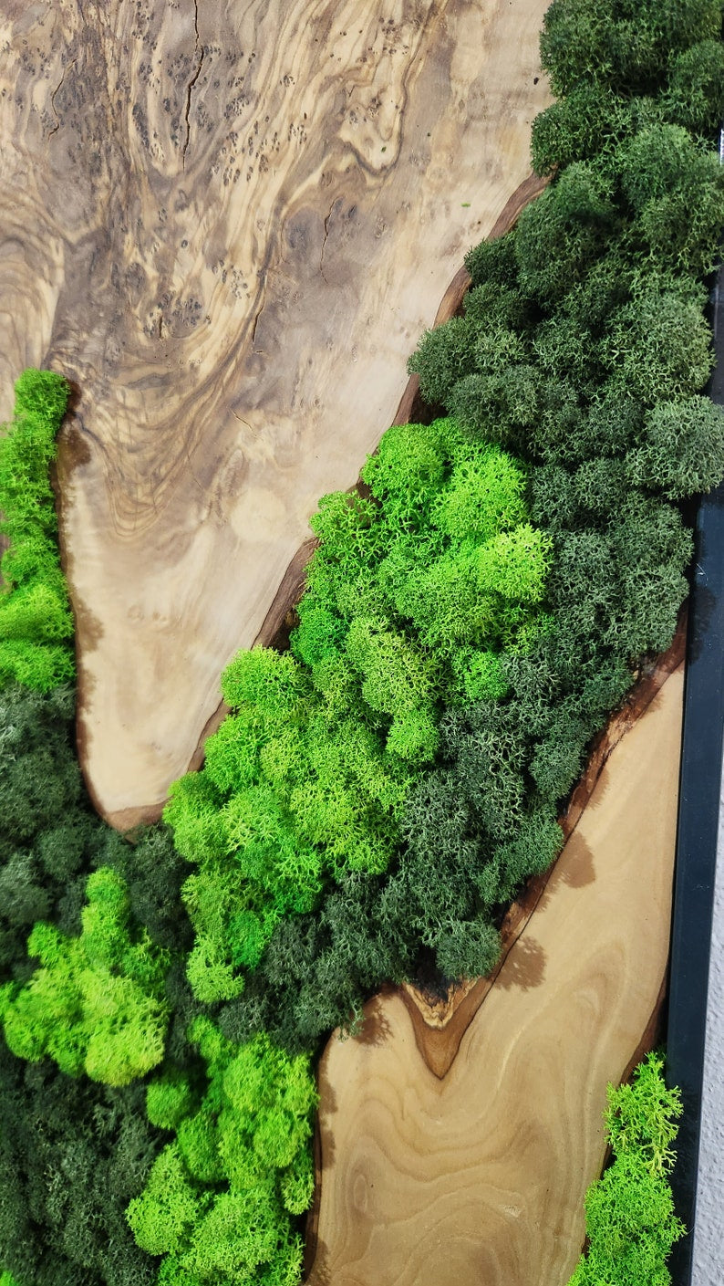 Forest Arc | Olive Wood and Pereserved Moss Wall Decor