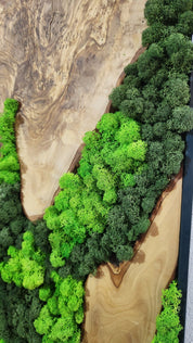 Forest Arc | Olive Wood and Pereserved Moss Wall Decor