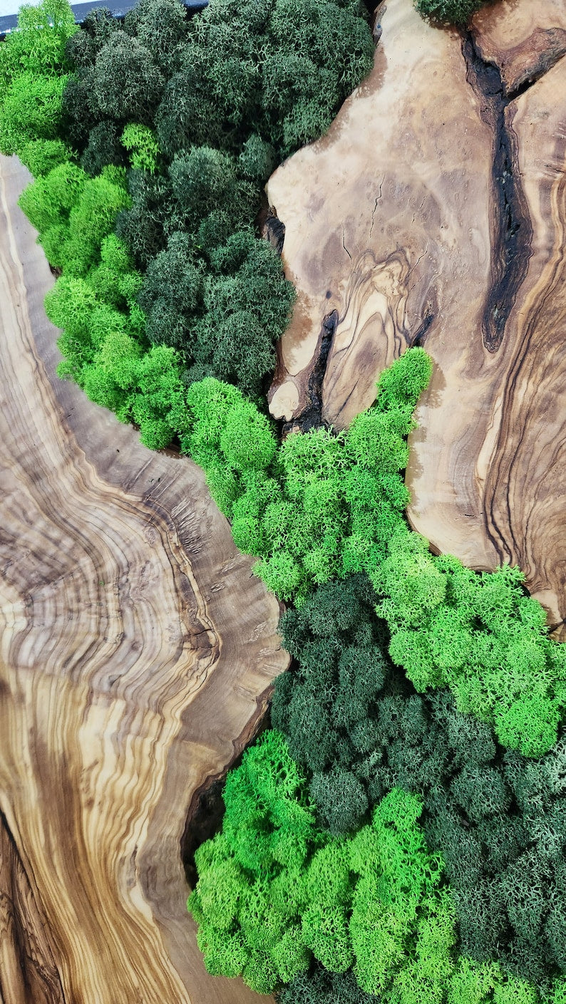 Forest Arc | Olive Wood and Pereserved Moss Wall Decor