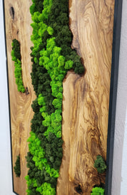 Forest Arc | Olive Wood and Pereserved Moss Wall Decor