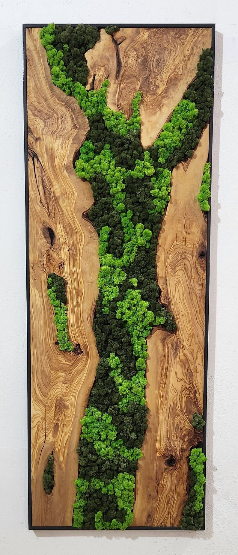 Forest Arc | Olive Wood and Pereserved Moss Wall Decor