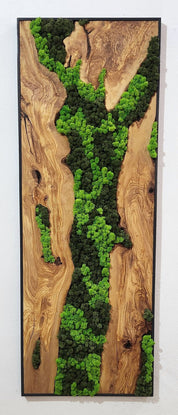 Forest Arc | Olive Wood and Pereserved Moss Wall Decor