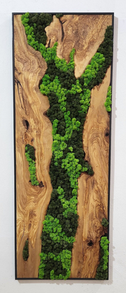 Forest Arc | Olive Wood and Pereserved Moss Wall Decor