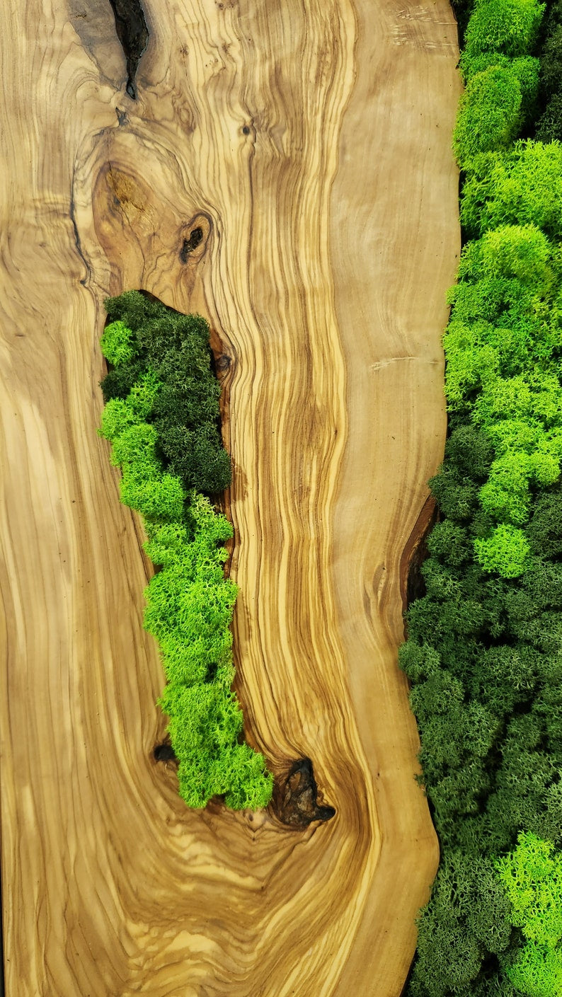 Forest Arc | Olive Wood and Pereserved Moss Wall Decor