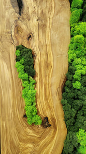 Forest Arc | Olive Wood and Pereserved Moss Wall Decor