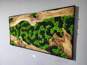 Nature’s River | Luxury Olive Wood & Preserved Moss Wall Art