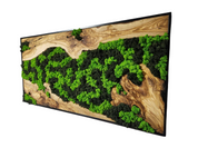 Nature’s River | Luxury Olive Wood & Preserved Moss Wall Art