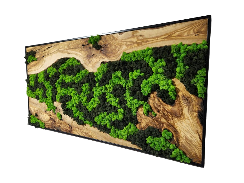 Nature’s River | Luxury Olive Wood & Preserved Moss Wall Art