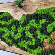 Nature’s River | Luxury Olive Wood & Preserved Moss Wall Art
