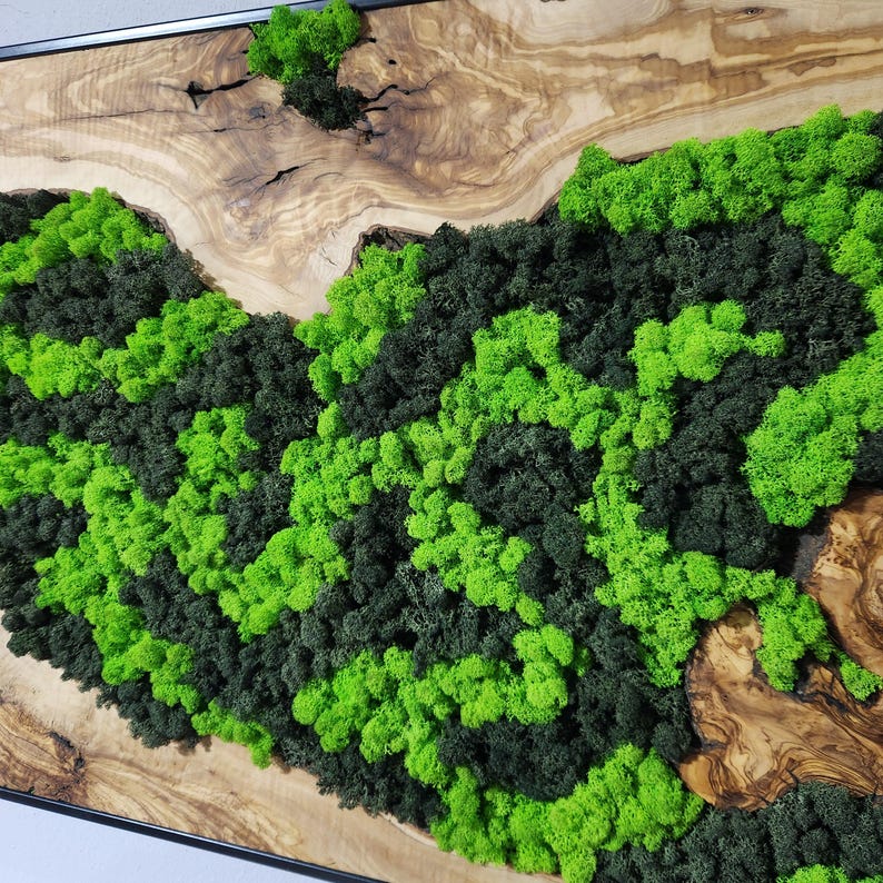 Nature’s River | Luxury Olive Wood & Preserved Moss Wall Art