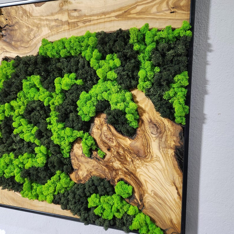 Nature’s River | Luxury Olive Wood & Preserved Moss Wall Art