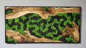 Nature’s River | Luxury Olive Wood & Preserved Moss Wall Art