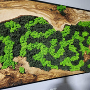 Nature’s River | Luxury Olive Wood & Preserved Moss Wall Art