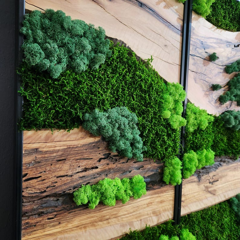 Green Horizon | Olive Wood and Pereserved Moss Wall Decor
