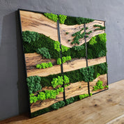 Green Horizon | Olive Wood and Pereserved Moss Wall Decor