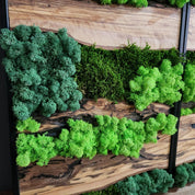Green Horizon | Olive Wood and Pereserved Moss Wall Decor