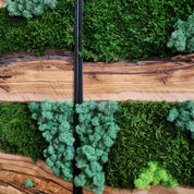 Green Horizon | Olive Wood and Pereserved Moss Wall Decor