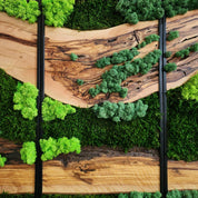 Green Horizon | Olive Wood and Pereserved Moss Wall Decor