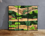 Green Horizon | Olive Wood and Pereserved Moss Wall Decor