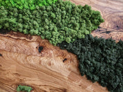 Handcrafted Moss & Olive Wood Wall Art | Rustic Greenery Decor