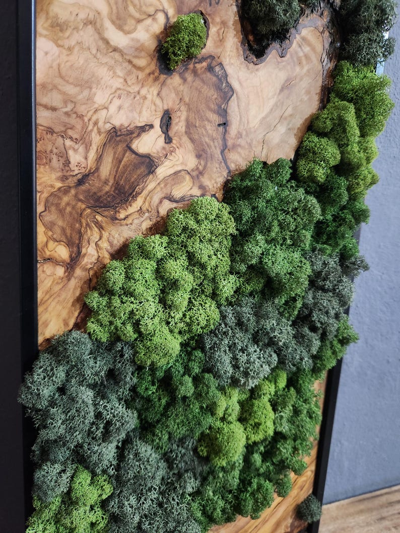 Nature Fusion | Olive Wood and Pereserved Moss Wall Decor