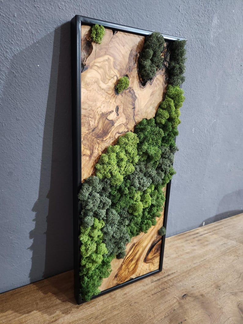 Nature Fusion | Olive Wood and Pereserved Moss Wall Decor