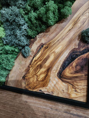 Nature Fusion | Olive Wood and Pereserved Moss Wall Decor