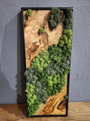 Nature Fusion | Olive Wood and Pereserved Moss Wall Decor