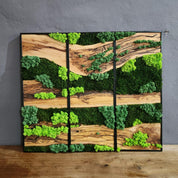 Green Horizon | Olive Wood and Pereserved Moss Wall Decor
