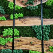 Green Horizon | Olive Wood and Pereserved Moss Wall Decor