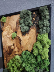 Nature Fusion | Olive Wood and Pereserved Moss Wall Decor