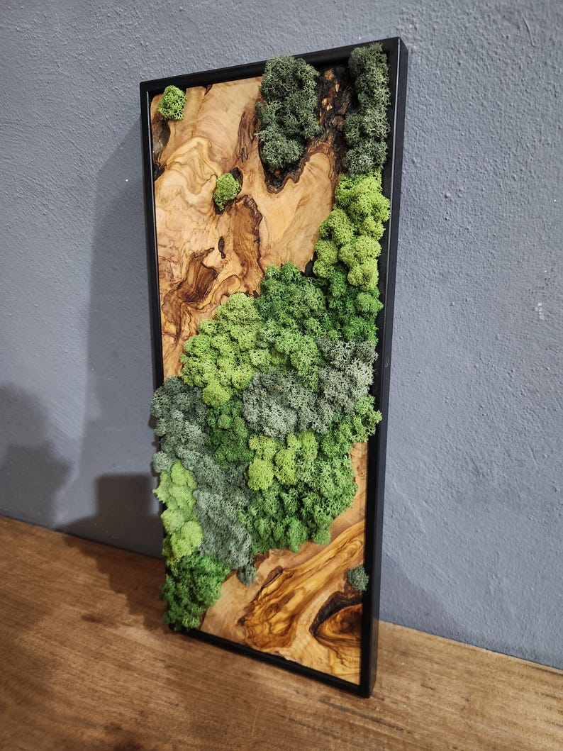 Nature Fusion | Olive Wood and Pereserved Moss Wall Decor