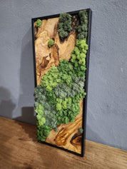 Nature Fusion | Olive Wood and Pereserved Moss Wall Decor