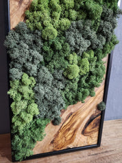 Nature Fusion | Olive Wood and Pereserved Moss Wall Decor