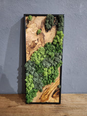 Nature Fusion | Olive Wood and Pereserved Moss Wall Decor