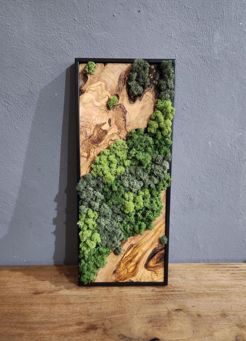 Nature Fusion | Olive Wood and Pereserved Moss Wall Decor