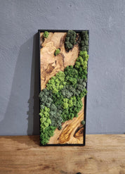 Nature Fusion | Olive Wood and Pereserved Moss Wall Decor