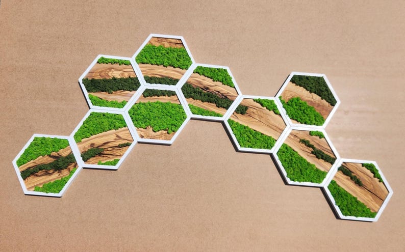 Nature Hive | Olive Wood and Pereserved Moss Wall Decor