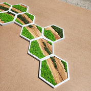 Nature Hive | Olive Wood and Pereserved Moss Wall Decor