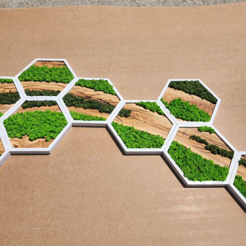 Nature Hive | Olive Wood and Pereserved Moss Wall Decor