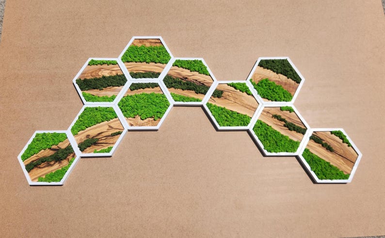 Nature Hive | Olive Wood and Pereserved Moss Wall Decor