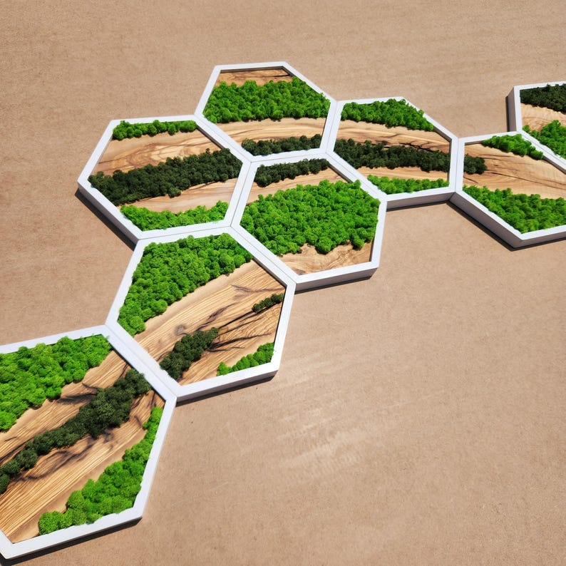 Nature Hive | Olive Wood and Pereserved Moss Wall Decor