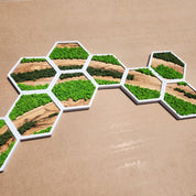 Nature Hive | Olive Wood and Pereserved Moss Wall Decor