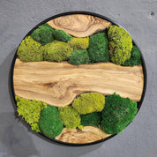 Green Hill | Preserved Moss and Olive Wood Art Piece