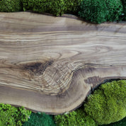 Green Hill | Preserved Moss and Olive Wood Art Piece