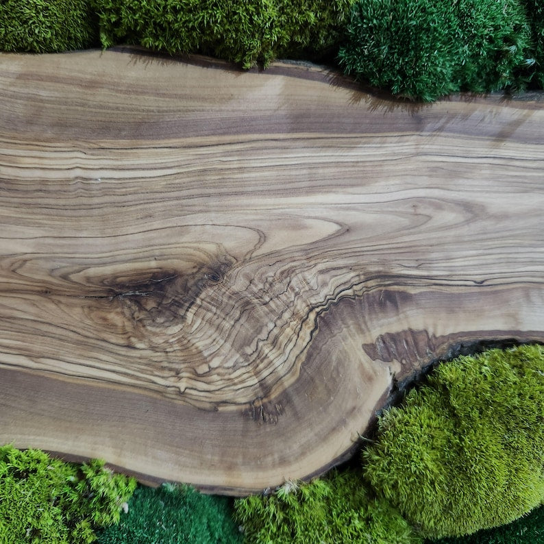 Green Hill | Preserved Moss and Olive Wood Art Piece