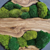 Green Hill | Preserved Moss and Olive Wood Art Piece