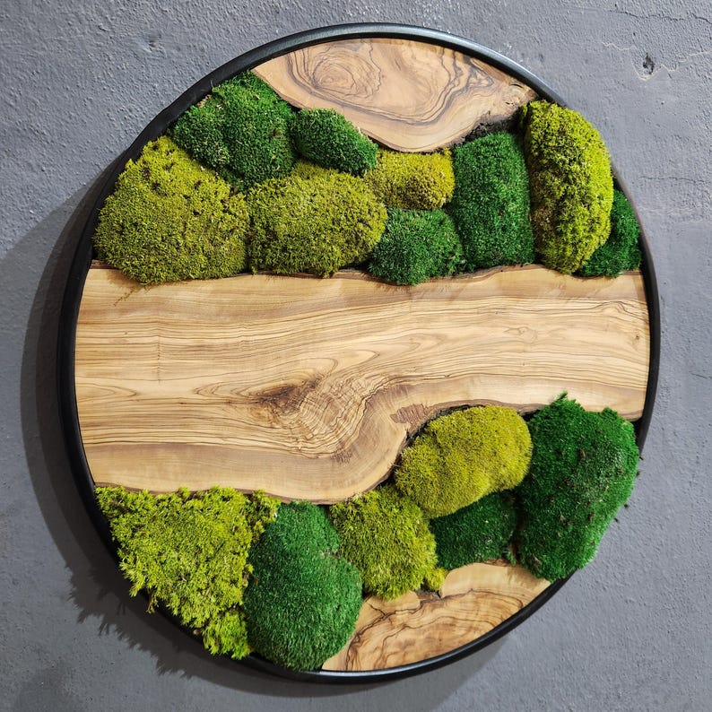 Green Hill | Preserved Moss and Olive Wood Art Piece