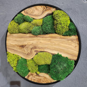Green Hill | Preserved Moss and Olive Wood Art Piece