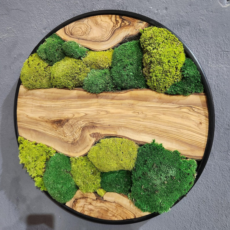 Green Hill | Preserved Moss and Olive Wood Art Piece